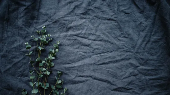 Why Eco-Friendly Laundry Matters in Bali | Diggy Doos Ubud