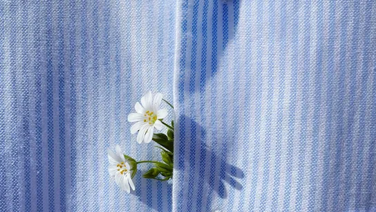 🌟 Key Benefits of Choosing Diggy Doos Laundry in Ubud